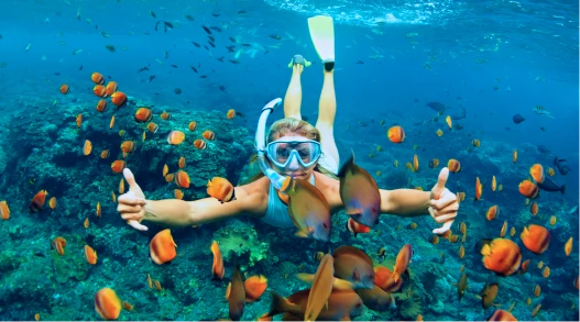 A snorkeling physician with a bunch of fish around them.